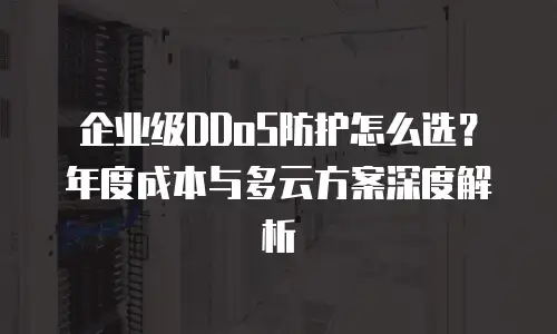 企业级DDoS防护怎么选？年度成本与多云方案深度解析