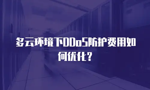 多云环境下DDoS防护费用如何优化？