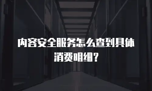 内容安全服务怎么查到具体消费明细？