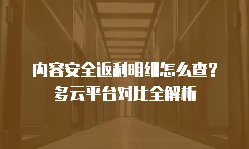 内容安全返利明细怎么查？多云平台对比全解析