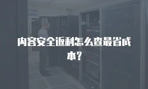 内容安全返利怎么查最省成本？