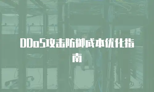 DDoS攻击防御成本优化指南