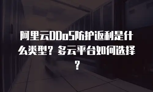 阿里云DDoS防护返利是什么类型？多云平台如何选择？