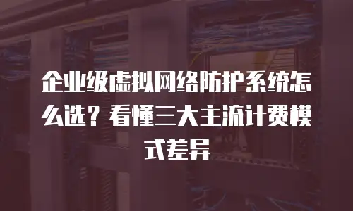 企业级虚拟网络防护系统怎么选？看懂三大主流计费模式差异