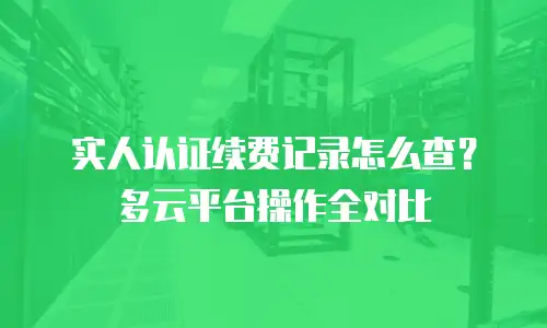 实人认证续费记录怎么查？多云平台操作全对比