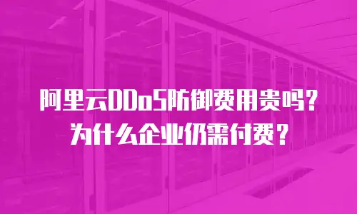 阿里云DDoS防御费用贵吗？为什么企业仍需付费？