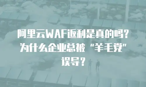 阿里云WAF返利是真的吗？为什么企业总被&ldquo;羊毛党&rdquo;误导？