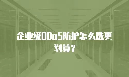 企业级DDoS防护怎么选更划算？