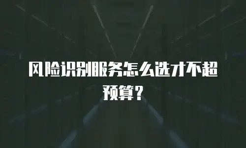 风险识别服务怎么选才不超预算？