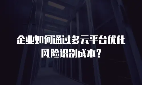 企业如何通过多云平台优化风险识别成本？