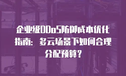 企业级DDoS防御成本优化指南：多云场景下如何合理分配预算？