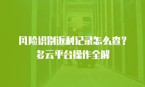 风险识别返利记录怎么查？多云平台操作全解