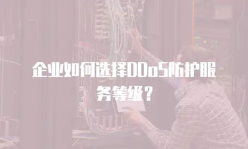 企业如何选择DDoS防护服务等级？