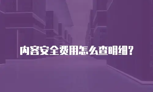 内容安全费用怎么查明细？