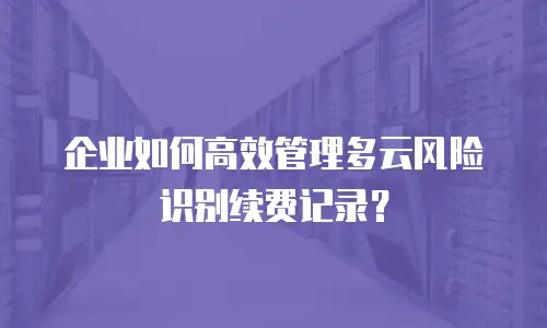 企业如何高效管理多云风险识别续费记录？