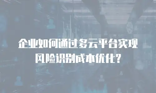 企业如何通过多云平台实现风险识别成本优化？