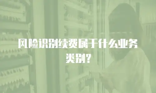 风险识别续费属于什么业务类别？
