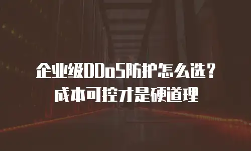企业级DDoS防护怎么选？成本可控才是硬道理