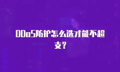 DDoS防护怎么选才能不超支？
