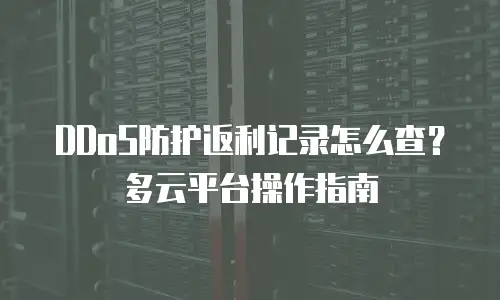 DDoS防护返利记录怎么查？多云平台操作指南