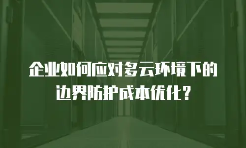 企业如何应对多云环境下的边界防护成本优化？