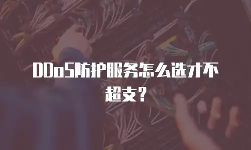 DDoS防护服务怎么选才不超支？