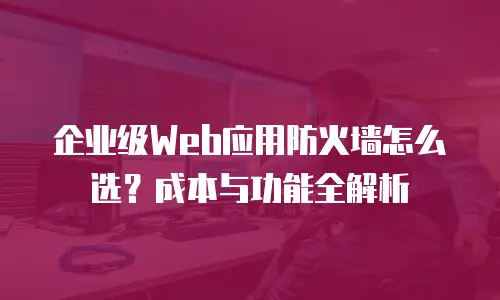 企业级Web应用防火墙怎么选？成本与功能全解析