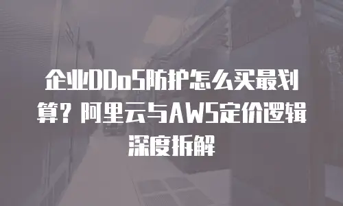 企业DDoS防护怎么买最划算？阿里云与AWS定价逻辑深度拆解