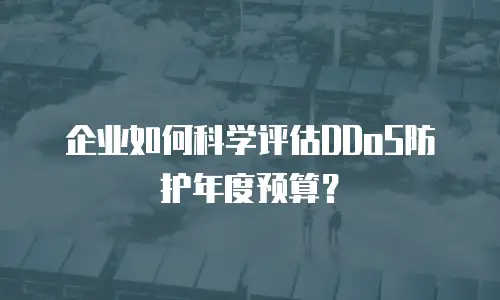 企业如何科学评估DDoS防护年度预算？
