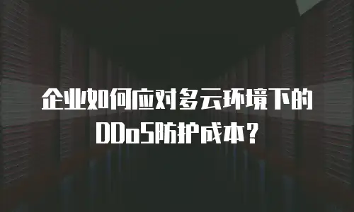 企业如何应对多云环境下的DDoS防护成本？