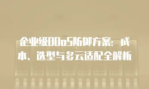 企业级DDoS防御方案：成本、选型与多云适配全解析