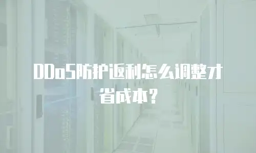 DDoS防护返利怎么调整才省成本？