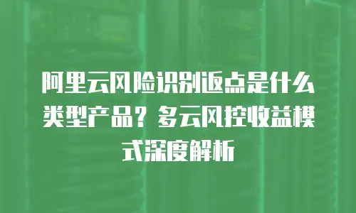 阿里云风险识别返点是什么类型产品？多云风控收益模式深度解析