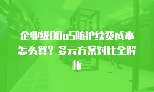 企业级DDoS防护续费成本怎么算？多云方案对比全解析