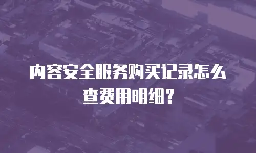 内容安全服务购买记录怎么查费用明细？