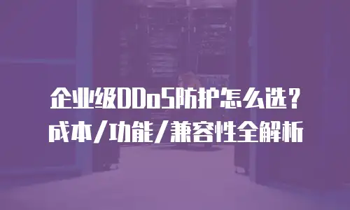 企业级DDoS防护怎么选？成本/功能/兼容性全解析
