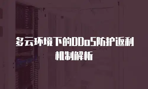 多云环境下的DDoS防护返利机制解析