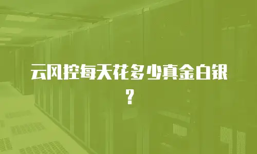 云风控每天花多少真金白银？