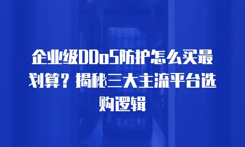 企业级DDoS防护怎么买最划算？揭秘三大主流平台选购逻辑