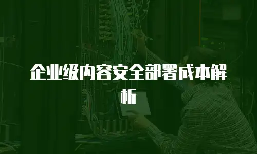 企业级内容安全部署成本解析