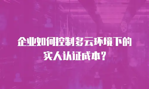 企业如何控制多云环境下的实人认证成本？