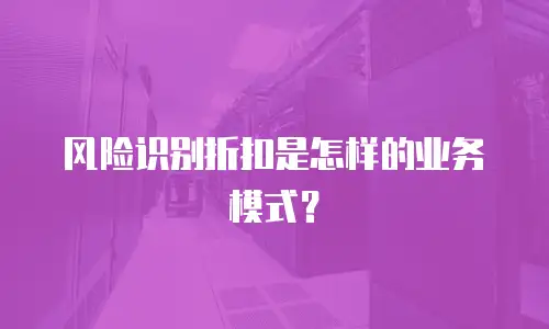风险识别折扣是怎样的业务模式？