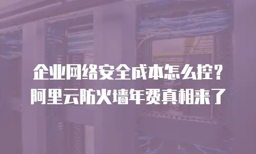 企业网络安全成本怎么控？阿里云防火墙年费真相来了