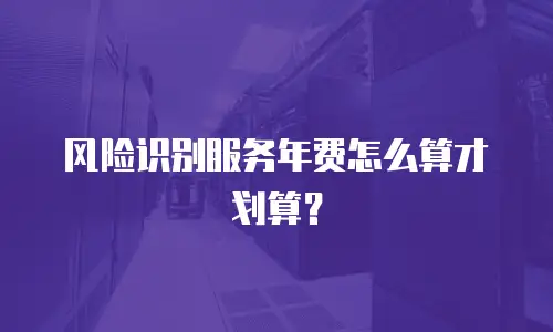 风险识别服务年费怎么算才划算？