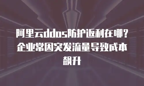 阿里云ddos防护返利在哪？企业常因突发流量导致成本飙升