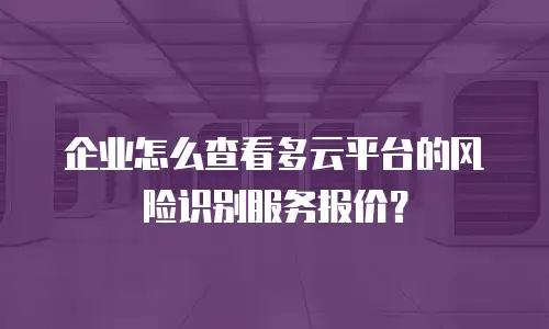 企业怎么查看多云平台的风险识别服务报价？