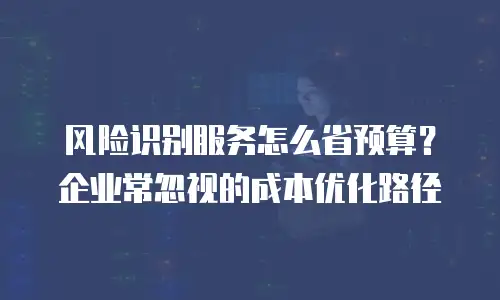 风险识别服务怎么省预算？企业常忽视的成本优化路径