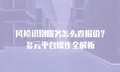 风险识别服务怎么查报价？多云平台操作全解析