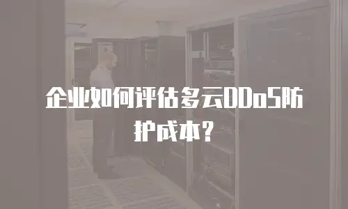 企业如何评估多云DDoS防护成本？