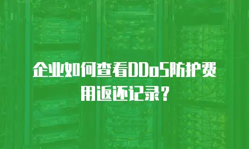 企业如何查看DDoS防护费用返还记录？